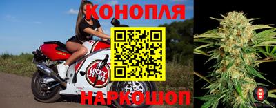 гидра Бузулук