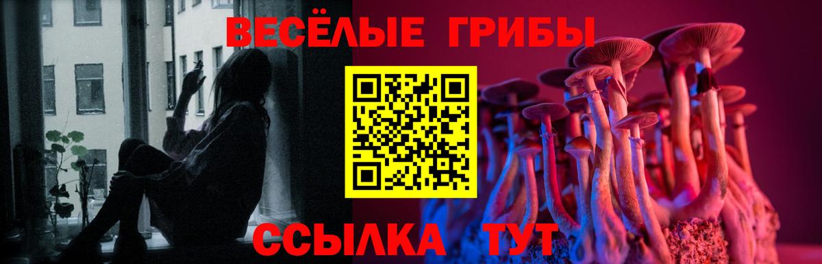 Сафоново  Галлюциногенные грибы Psilocybe  Вход с VPN  Псилоцибиновые грибы Magic Shrooms 